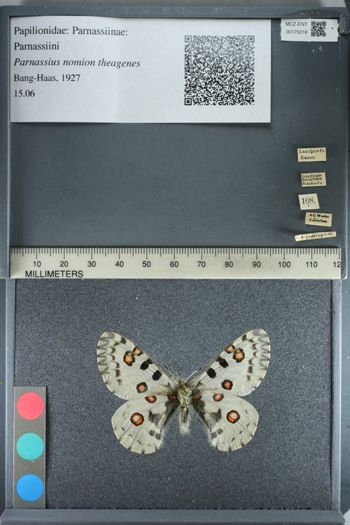 Media type: image;   Entomology 175018